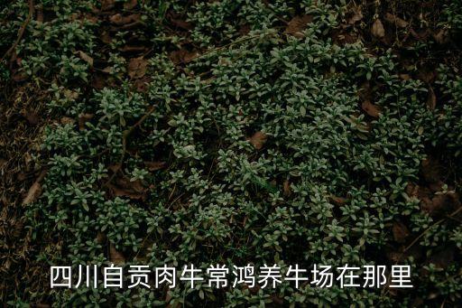 四川自貢肉牛常鴻養(yǎng)牛場(chǎng)在那里