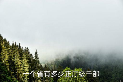 正國級有誰,2023正國級工資是多少