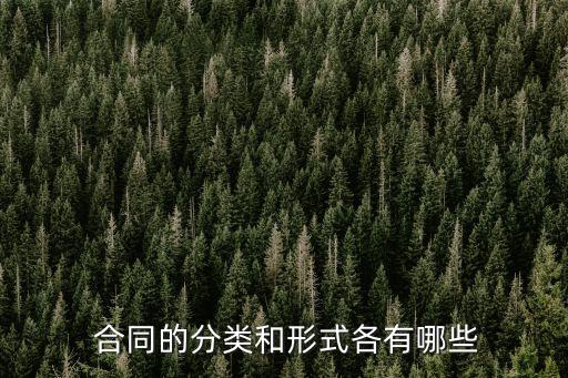 主合同有哪些例子,合同取得成本有哪些例子