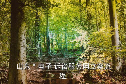 山東*電子訴訟服務(wù)平臺(tái)