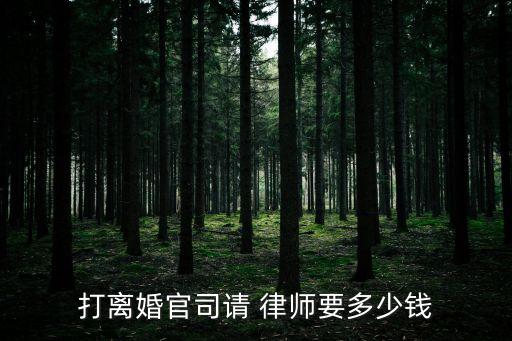 廣州婚姻律師