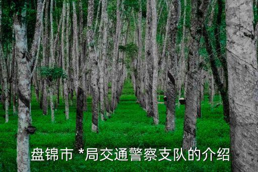  盤錦市 *局交通警察支隊的介紹