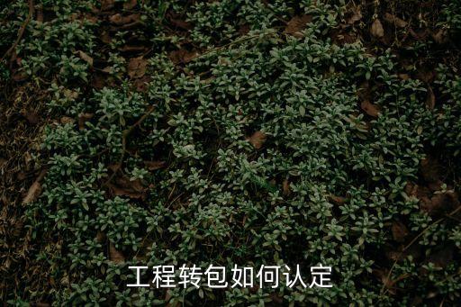 工程轉(zhuǎn)包，什么叫工程轉(zhuǎn)包什么工程分包兩者的區(qū)別是什么