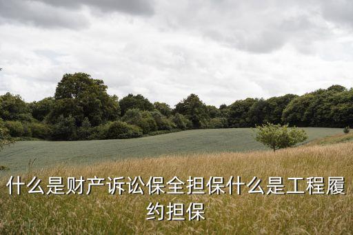 財產(chǎn)保全擔保，什么是財產(chǎn)保全擔保