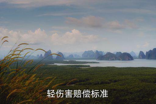 輕傷賠償標(biāo)準(zhǔn)，輕傷害賠償標(biāo)準(zhǔn)