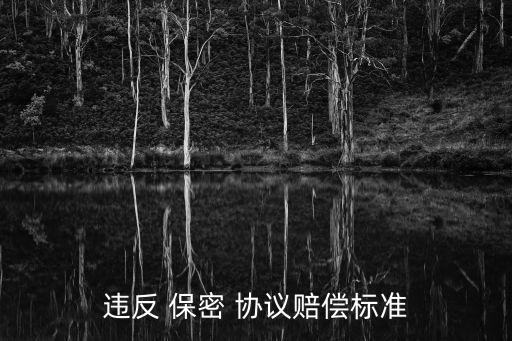 違反 保密 協(xié)議賠償標(biāo)準(zhǔn)