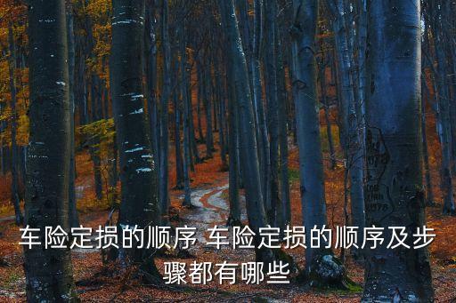車險定損的順序 車險定損的順序及步驟都有哪些