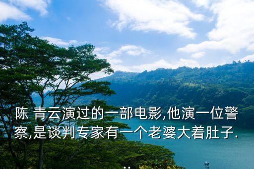 陳 青云演過的一部電影,他演一位警察,是談判專家有一個老婆大著肚子...