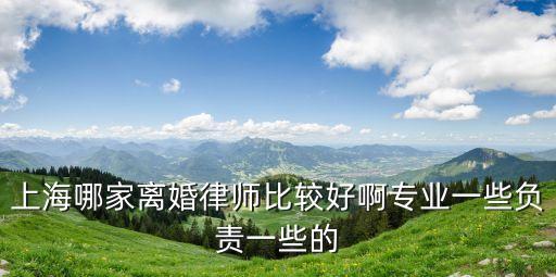 上海離婚律師哪家最好，上海哪家離婚律師比較好啊專業(yè)一些負(fù)責(zé)一些的