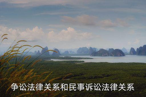 訟爭(zhēng)，請(qǐng)問(wèn)什么是訟爭(zhēng)和訴爭(zhēng)