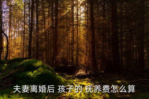 孩子撫養(yǎng)費怎么算,離婚一人一個孩子撫養(yǎng)費怎么算