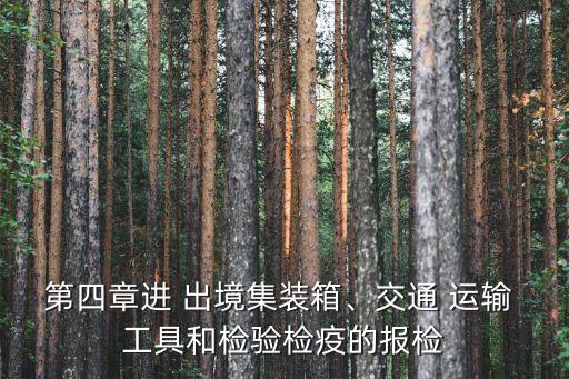 進(jìn)出境運(yùn)輸工具,根據(jù)海關(guān)法規(guī)定,進(jìn)出境運(yùn)輸工具