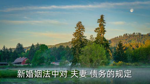 新婚姻法中對 夫妻 債務(wù)的規(guī)定