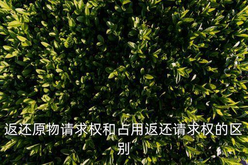 返還原物請(qǐng)求權(quán)和占用返還請(qǐng)求權(quán)的區(qū)別
