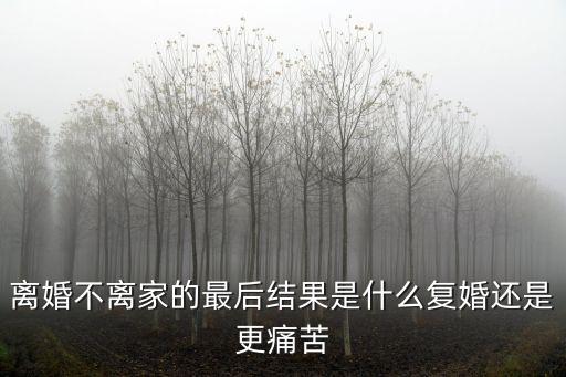 長(zhǎng)期離婚不離家的后果，離婚不離家的最后結(jié)果是什么復(fù)婚還是更痛苦