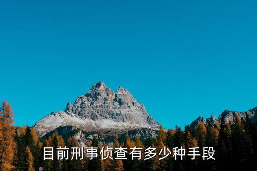目前刑事偵查有多少種手段