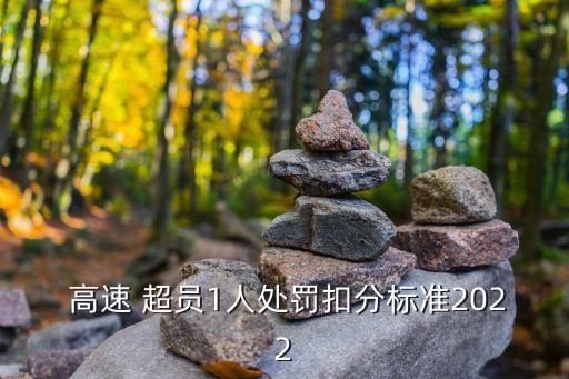  高速 超員1人處罰扣分標準2022
