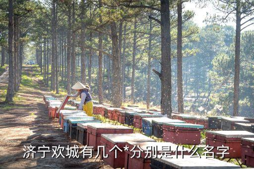 山東*，山東省濟南市都有什么*以及具體地址