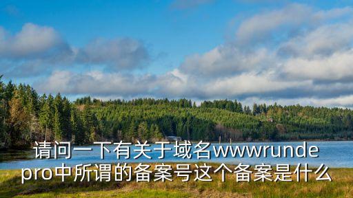 請問一下有關于域名wwwrundepro中所謂的備案號這個備案是什么
