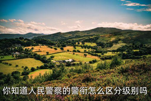 輔警級別，你知道人民警察的警銜怎么區(qū)分級別嗎