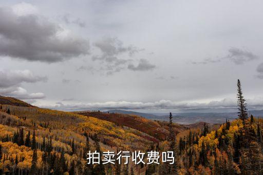 拍賣行收費(fèi)嗎