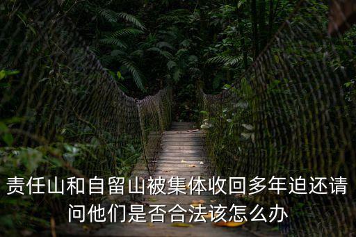 責(zé)任山，責(zé)任山和自留山被集體收回多年迫還請(qǐng)問(wèn)他們是否合法該怎么辦