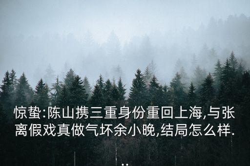 陳珊珊