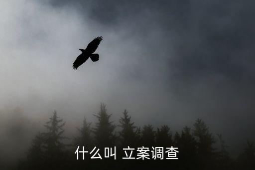 立案偵察,杭州大愛物流立案偵查