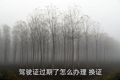  駕駛證過(guò)期了怎么辦理 換證