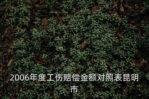 工傷賠償標準，2006年度工傷賠償金額對照表昆明市