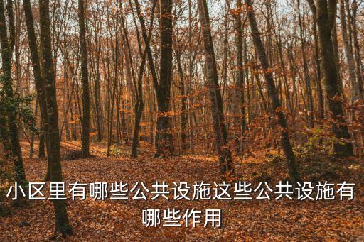 小區(qū)里有哪些公共設(shè)施這些公共設(shè)施有哪些作用