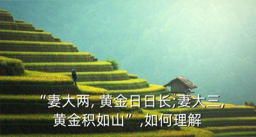 “妻大兩, 黃金日日長;妻大三, 黃金積如山”,如何理解