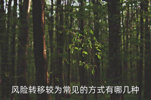風(fēng)險轉(zhuǎn)移，請問什么是風(fēng)險轉(zhuǎn)移