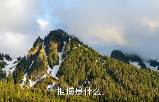 拒捕，法律中拒捕定義