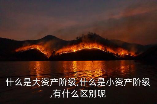 大資本