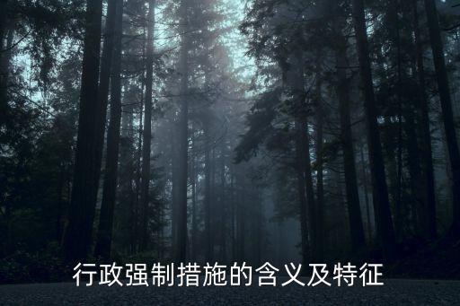 行政強(qiáng)制措施的含義及特征