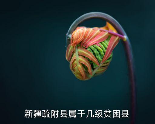疏附，新疆疏附縣屬于幾級貧困縣