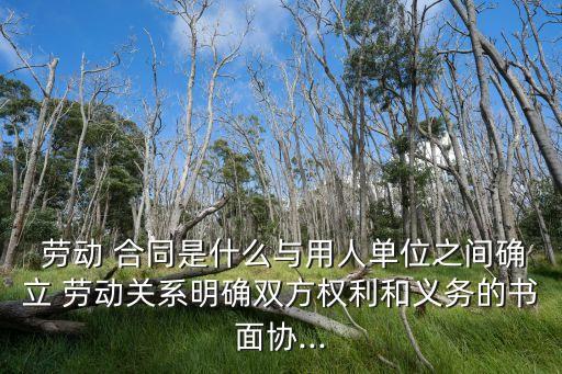 法律中什么是勞動合同關(guān)系