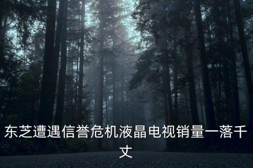 東芝事件，東芝及松下最近發(fā)現(xiàn)的豎線門事件都解決了嗎