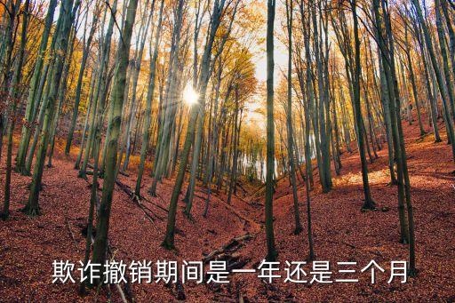  欺詐撤銷期間是一年還是三個月