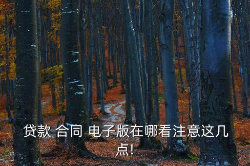  貸款 合同 電子版在哪看注意這幾點(diǎn)!