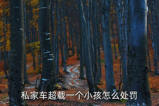 私家車超載一個小孩怎么處罰