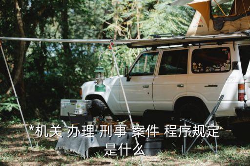 辦理刑事案件程序規(guī)定,最新*機(jī)關(guān)辦理刑事案件程序規(guī)定