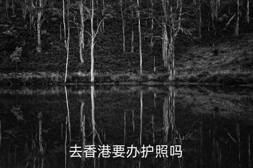 去香港需要護(hù)照嗎，去香港要辦護(hù)照嗎