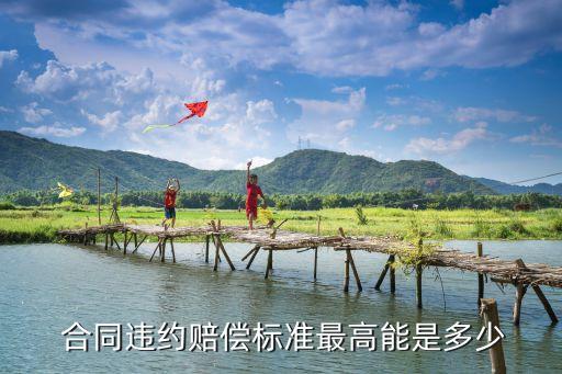  合同違約賠償標(biāo)準(zhǔn)最高能是多少