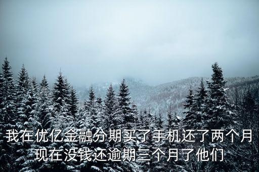 我在優(yōu)億金融分期買了手機還了兩個月現(xiàn)在沒錢還逾期三個月了他們