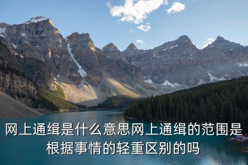 網(wǎng)上通緝令，什樣的案件才能發(fā)網(wǎng)上通緝令