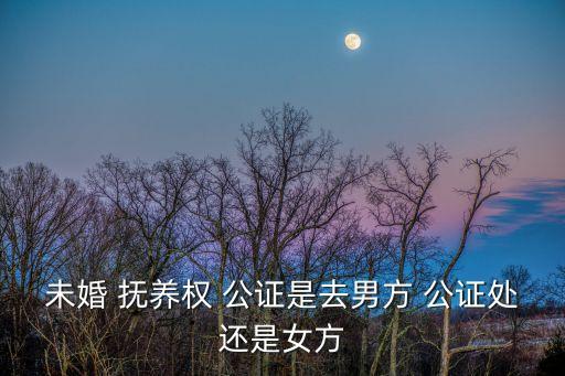 未婚 撫養(yǎng)權(quán) 公證是去男方 公證處還是女方