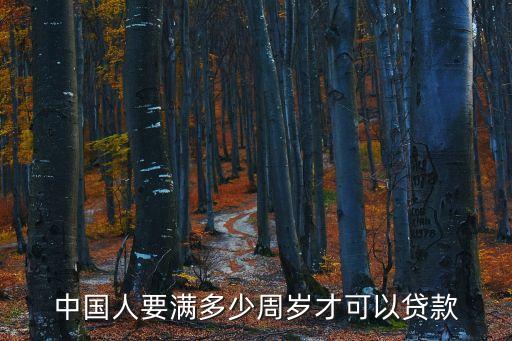 中國(guó)人要滿多少周歲才可以貸款