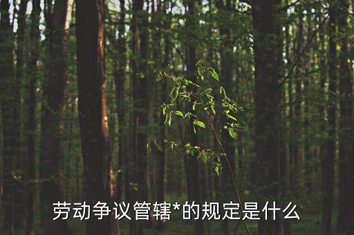 勞動(dòng)爭(zhēng)議管轄*的規(guī)定是什么